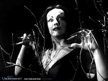 痛すぎて誰もが涙する映画 「Plan 9 from Outer Space」