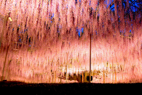 gojumpei_01