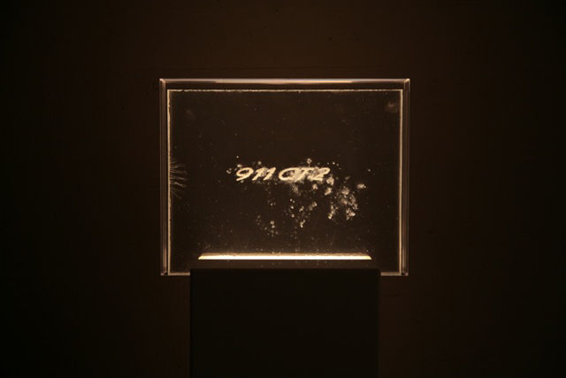 dearest-constellation-08