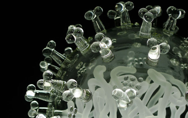 Swineflu-02