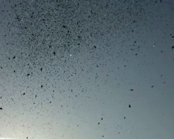 はじまりがあっておわりがあるもの - 
