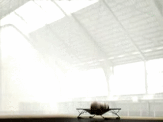 Trampoline Elephant