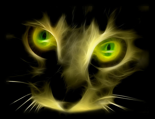 Fractalius-Cat-07