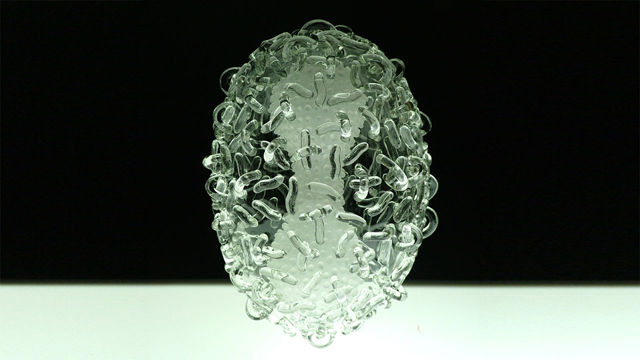 Smallpox-01