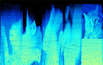 c1ef3b62.jpg