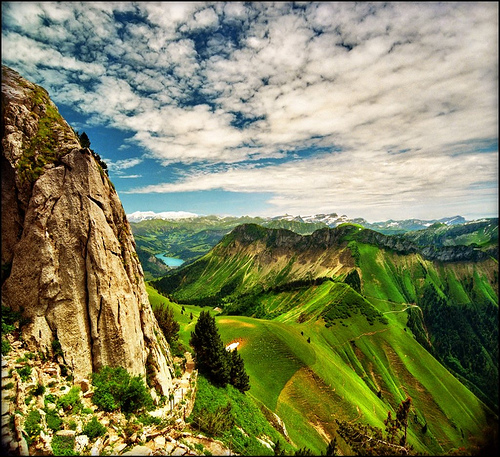 c3f3e72c.jpg
