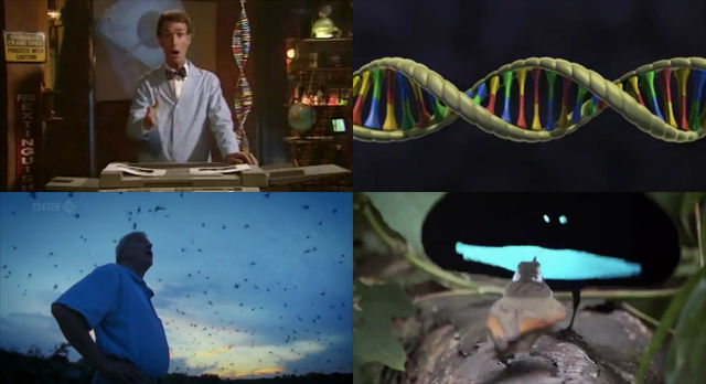「地球の詩、生命の進化」生物学者たちの言葉を音楽にビデオ・マッシュアップ　The Greatest Show on Earth