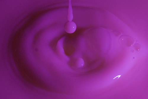 d56a9a38.jpg
