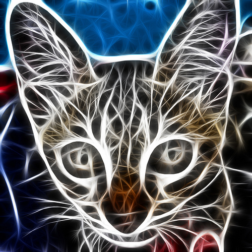 Fractalius-Cat-06
