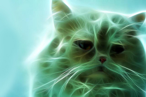 Fractalius-Cat-08