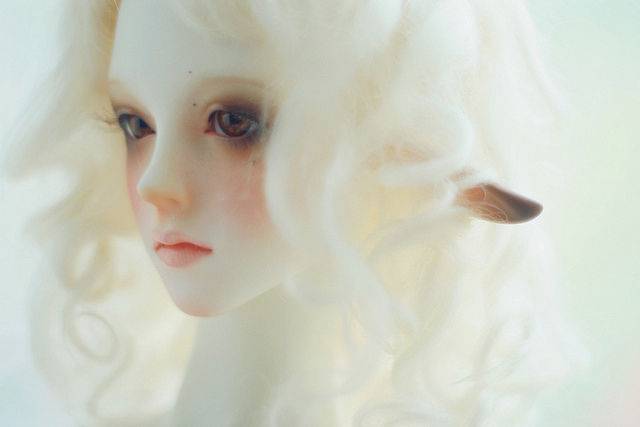 oso_polar-18