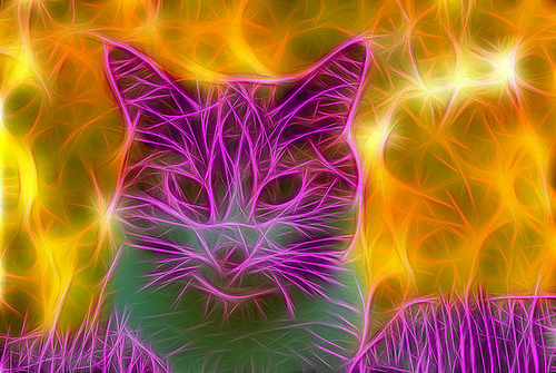 Fractalius-Cat-10
