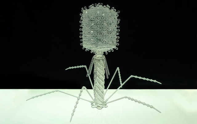 T4-Bacteriophage-01
