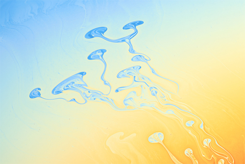 f586d7c2.jpg