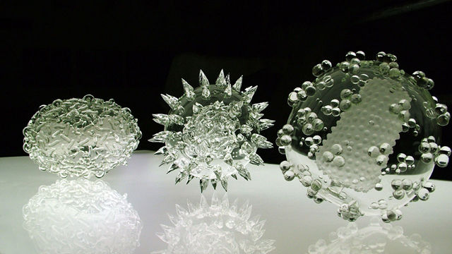 世界が驚愕するウイルス達をガラスの彫刻に　@lukejerram