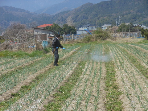 DSCN0379