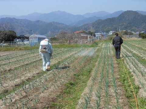 DSCN0378
