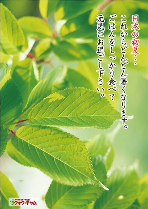 新緑A1ポスター