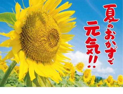 夏のおかずで元気