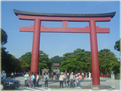 鶴岡八幡宮に到着です!