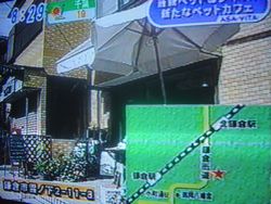 うさぎカフェ