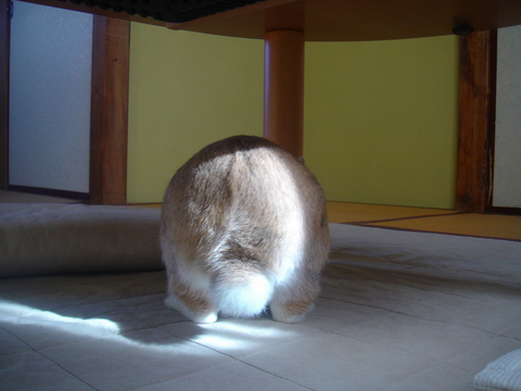 画像 12473