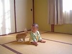 うさぎカフェのおうちコミュニティ*