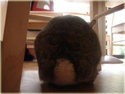 しっぽもかわいいでしょ?
