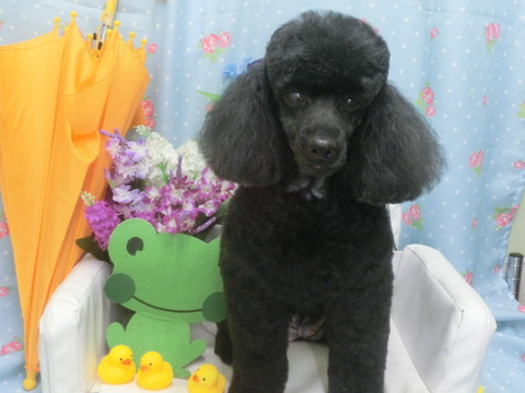 CIMG0881
