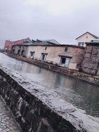 IMG_3241
