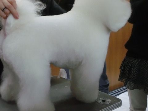 CIMG0584