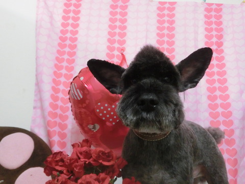 CIMG0633