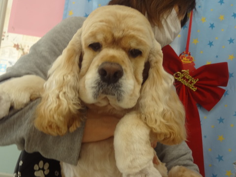 DSC08634