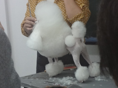 DSC07219