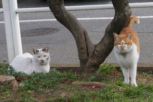 img_4657