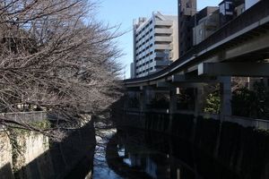img_4138