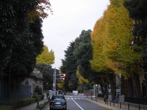 r0029920