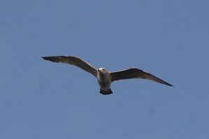 img_4709
