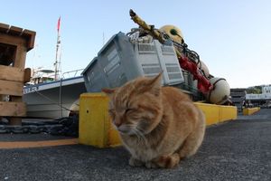 img_0067