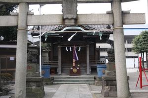 img_4504