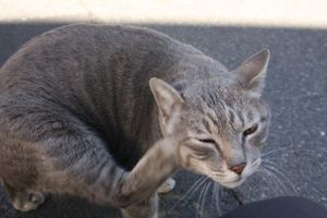 img_4257
