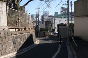 img_4181
