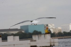 img_4584