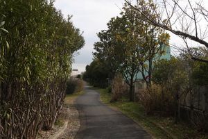 img_4568