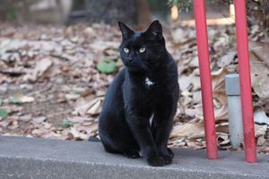 img_4281