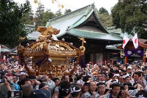 img_9239