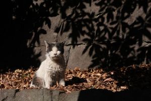 img_4125
