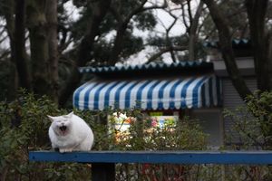 img_4869