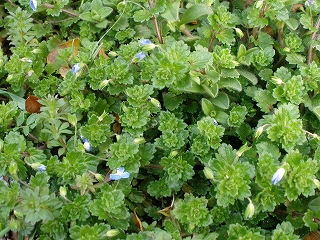 P3051076