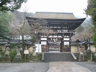 P3231179